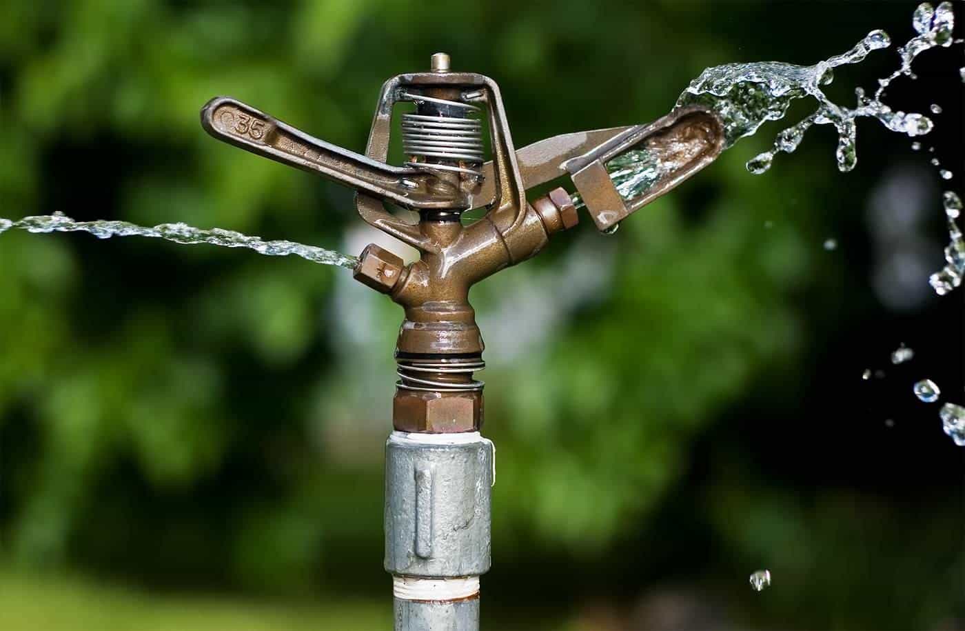 A brass impact sprinkler spraying water against a green background