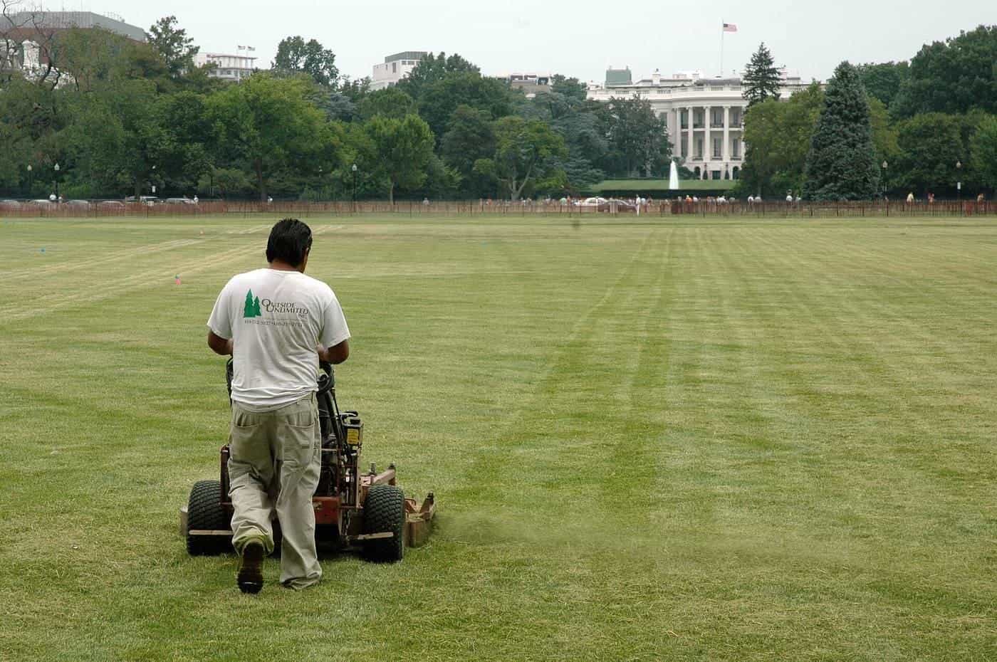 A groundskeeper pushing a walk-behind mower across a large lawn, with neat stripes behind
