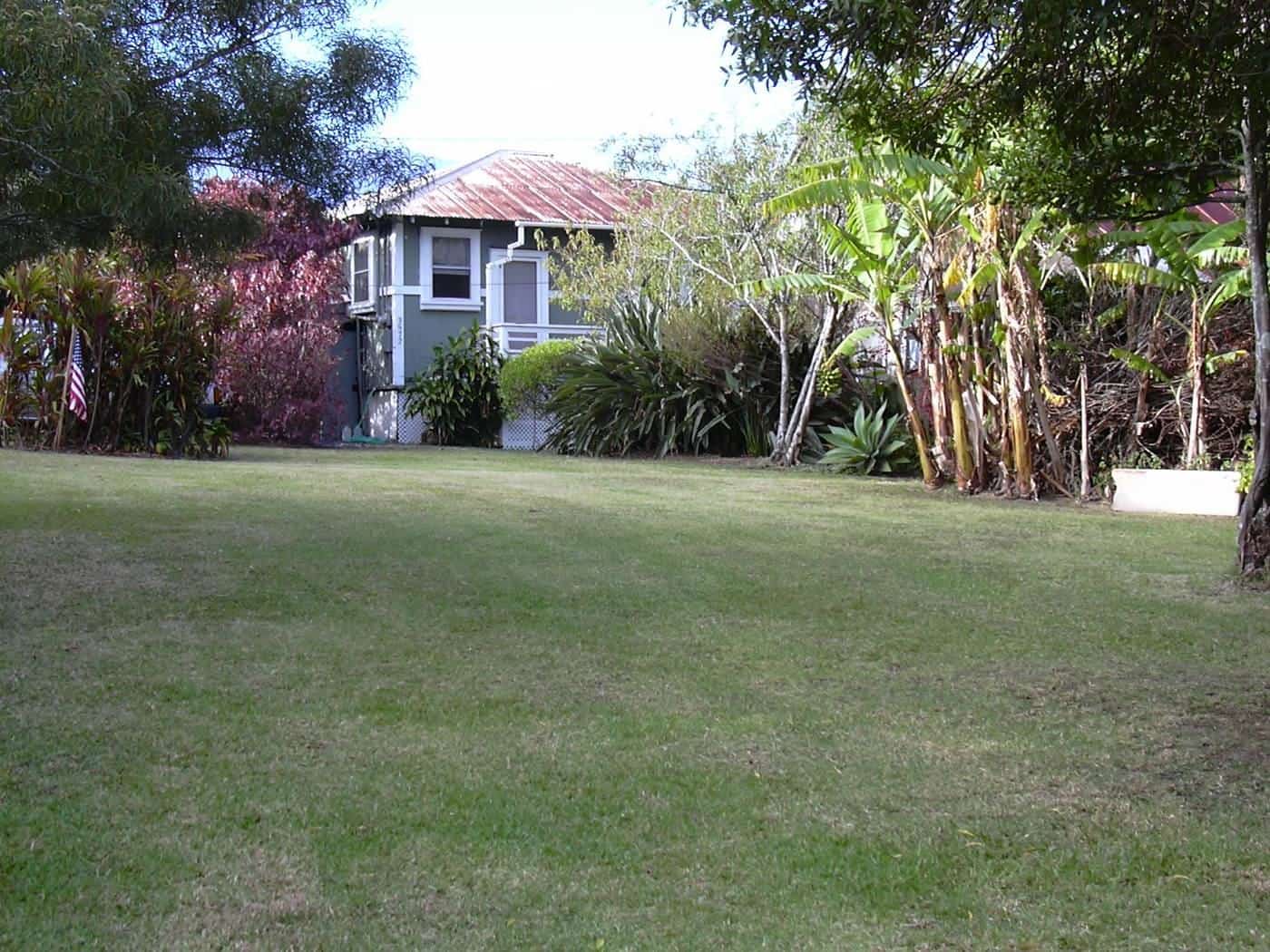 A wide, freshly mown suburban lawn in front of a house surrounded by trees