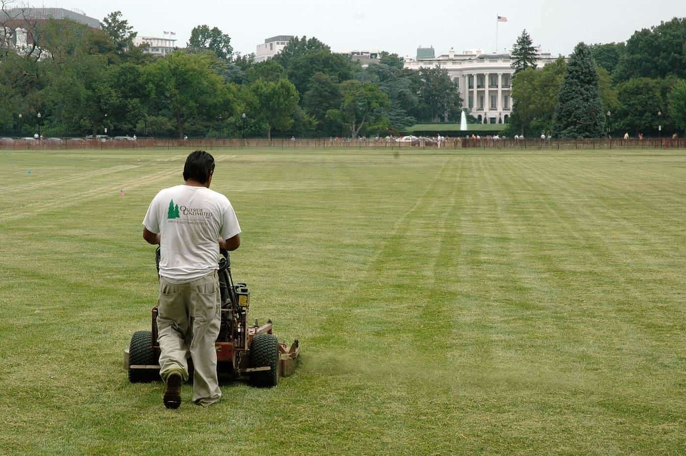 A groundskeeper pushing a walk-behind mower across a large lawn, with neat stripes behind